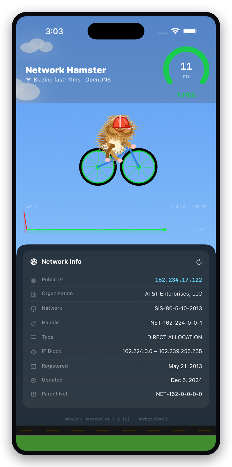 Net Info screen with public IP and ARIN whois details